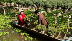 Begin your visa-prepared day with Vietnam’s tranquil ambiance